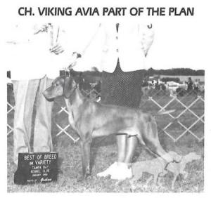 Viking Avia Part of The Plan