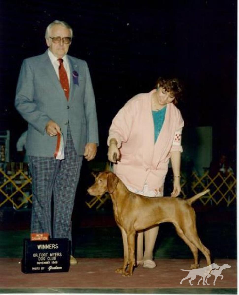 Barben's Magda Bey of Bethwood