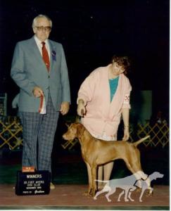Barben's Magda Bey of Bethwood