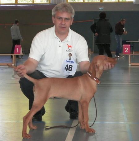 Cucu II Budafa