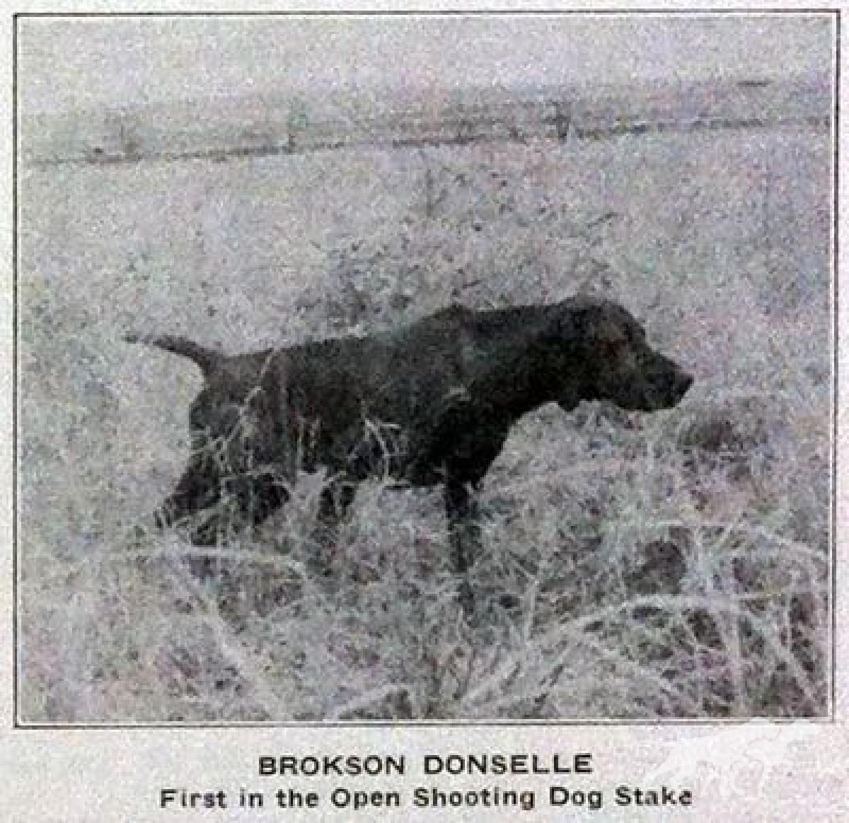 Brokson Donselle