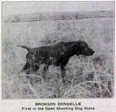 Brokson Donselle