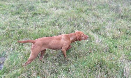 Dukesa Wild Can D'Ijuma