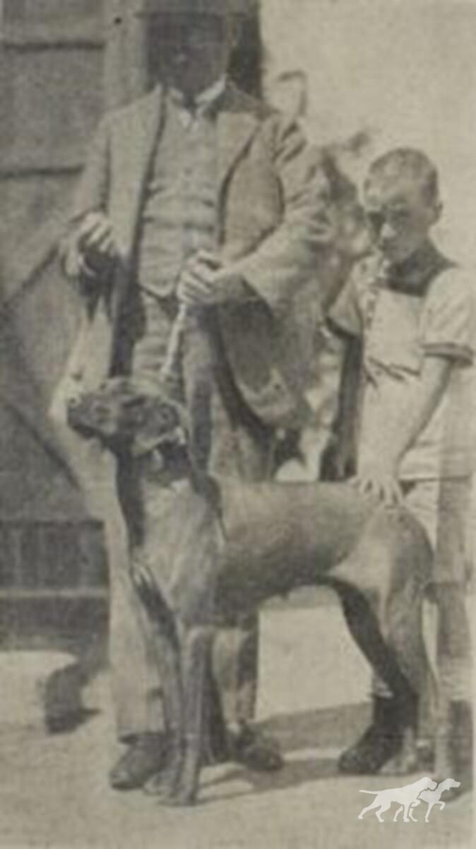 Dora I