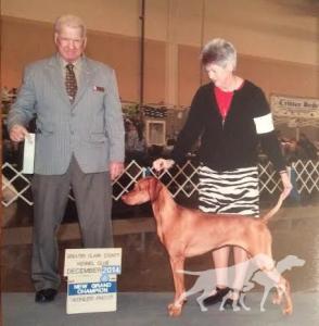 Dunantul Maggie Mae