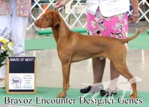 Bravoz Encounter Designer Genes