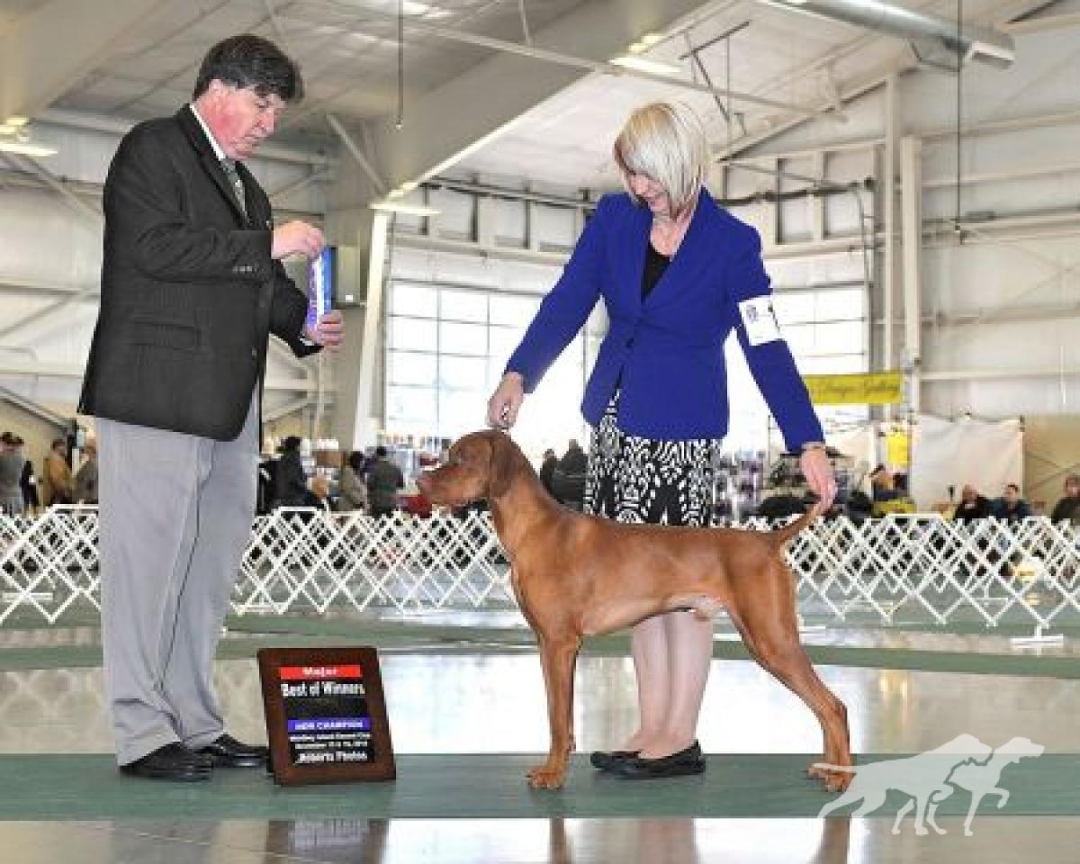 Dezertfyre's Blue Moon Of Kentucky
