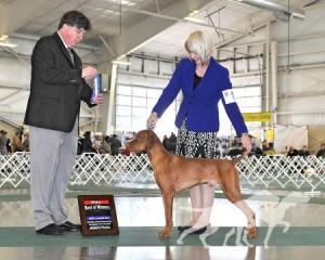 Dezertfyre's Blue Moon Of Kentucky