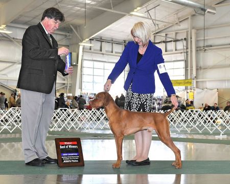 Dezertfyre's Blue Moon Of Kentucky