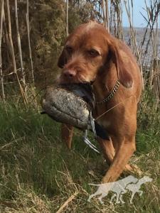 Blaythorn's Against The Wind