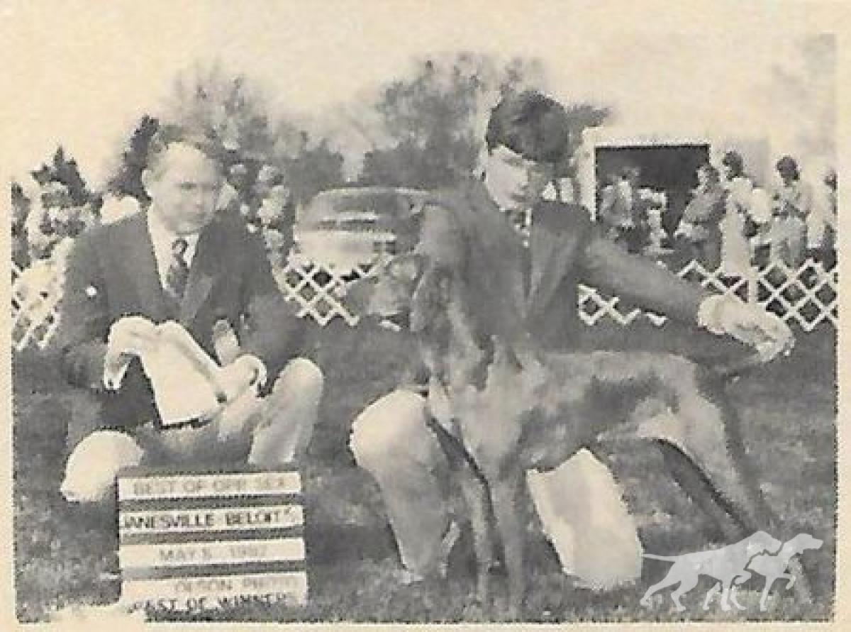 Oakleaf's Countess Zsa Zsa