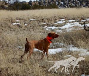 Burr Oak's Ellie Mae