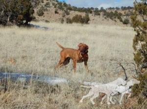 Drycreek's Escape Velocity