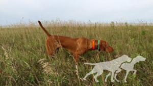 Martinsen's Tucker Cattail Buster