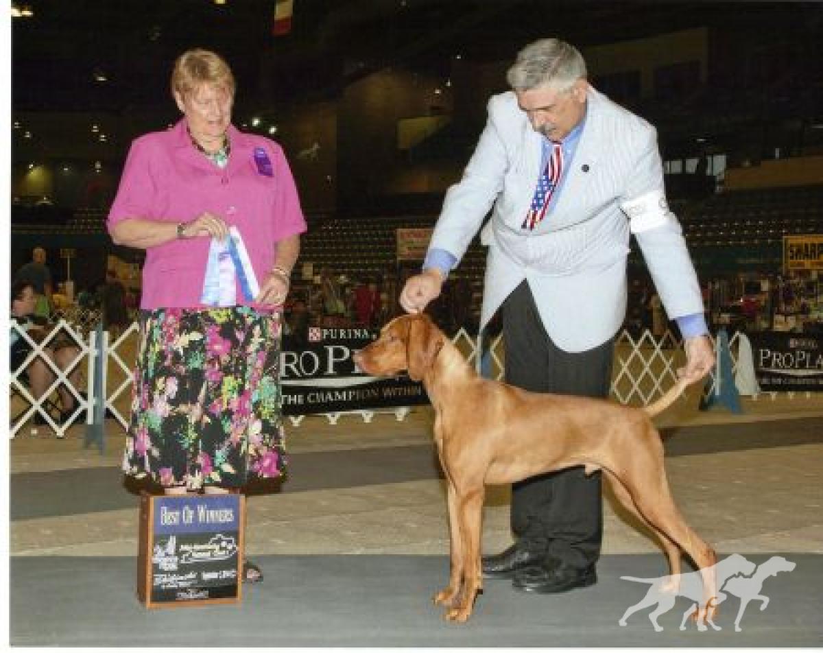Lorac's Remington Steele Your Heart