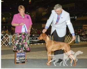 Lorac's Remington Steele Your Heart
