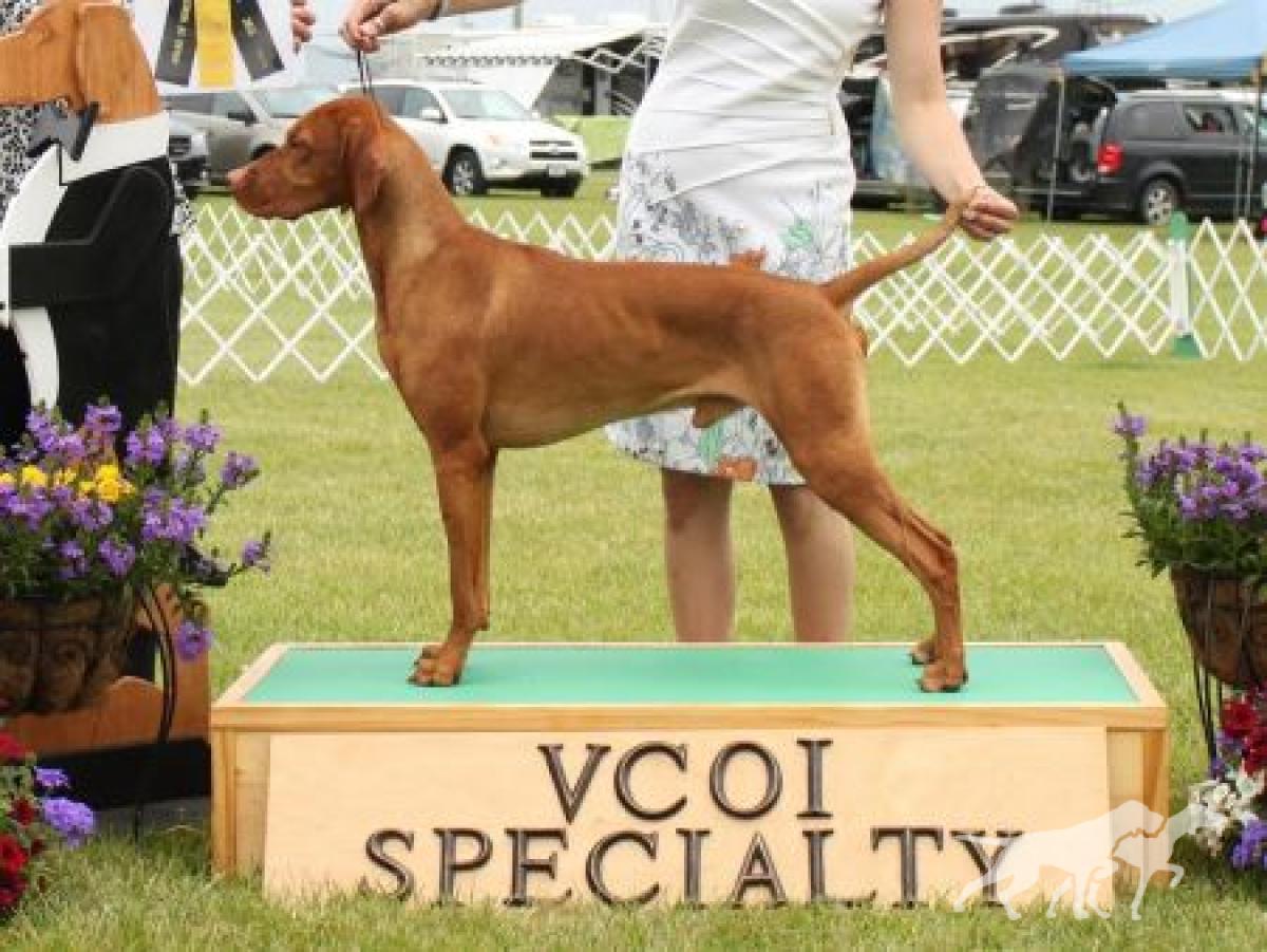 Jnek's It Don't Get Better Than This