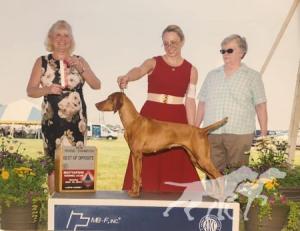 Willorunn's Krewe Queen At Ankerdale