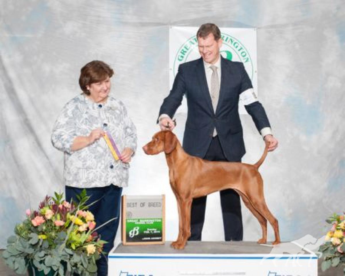 Deerrun Sasco's Encore