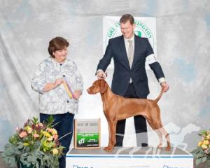 Deerrun Sasco's Encore