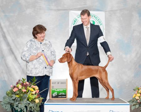 Deerrun Sasco's Encore