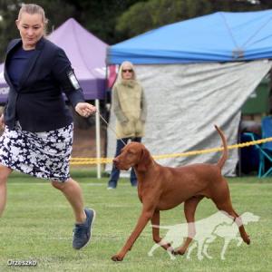Erdos No Worries