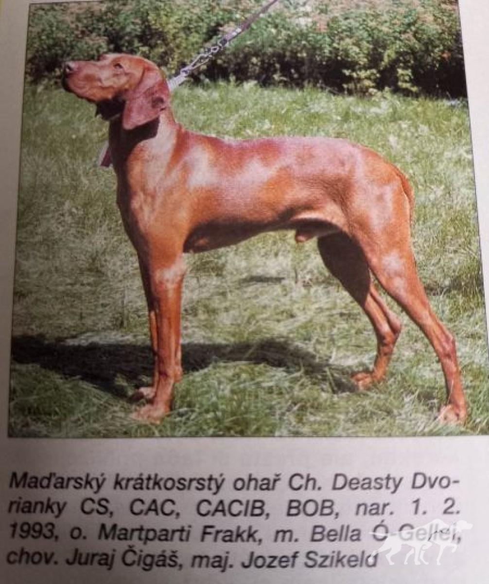 Deasty Dvorianky