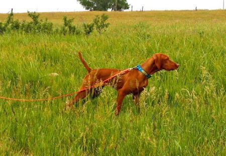 Ethos Pandora's Box
