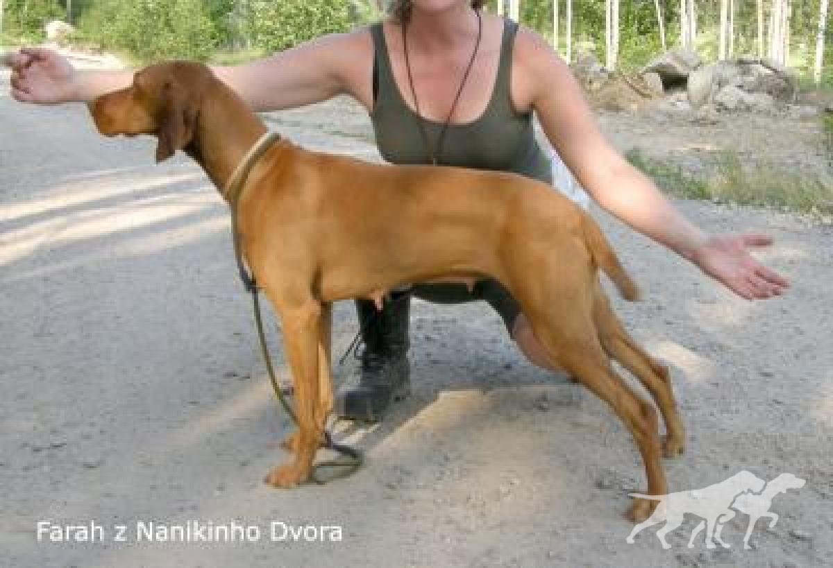 Farah z Nanikinho dvora