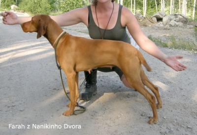 Farah z Nanikinho dvora