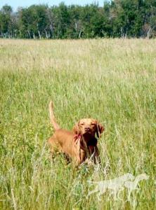 Against The Wind's Lock & Load