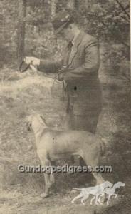 Argo Lesan Selle