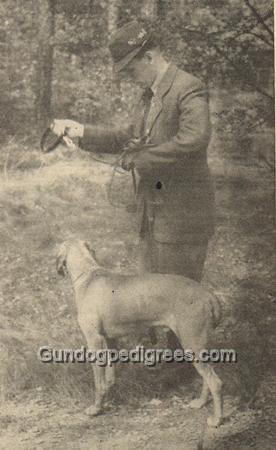 Argo Lesan Selle