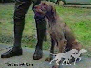 Tordaszigeti Gina