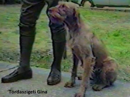 Tordaszigeti Gina