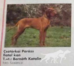 Csatárkai Parázs