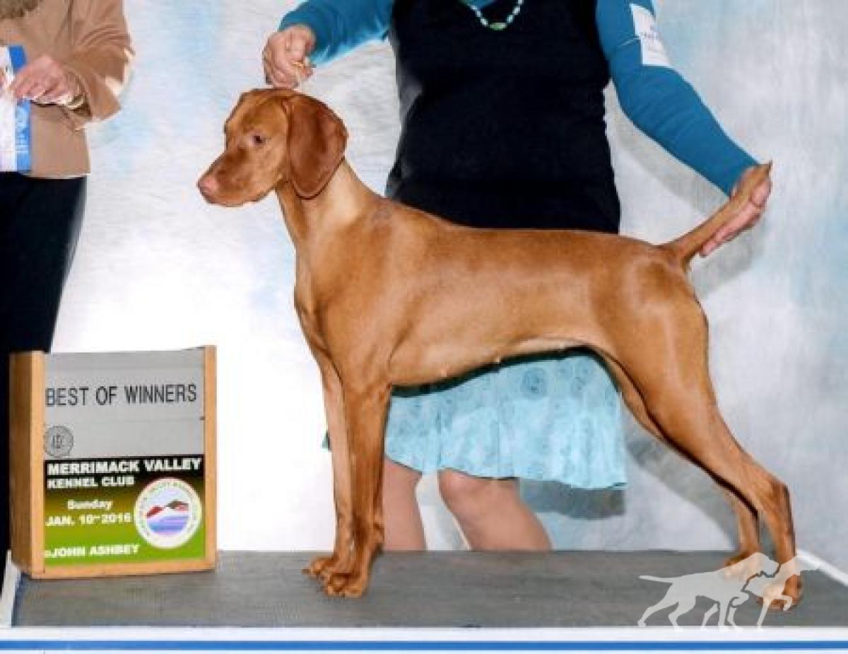 Victoria The Empress T'leaf's Happy Tails
