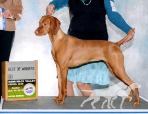 Victoria The Empress T'leaf's Happy Tails