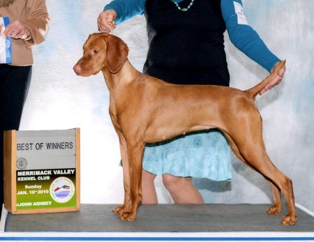 Victoria The Empress T'leaf's Happy Tails