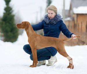 Blue Note Free Jazz