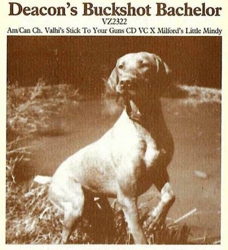 Deacon's Buckshot Bachelor