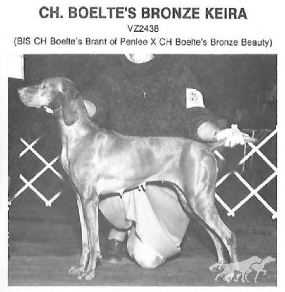 Boelte's Bronze Keira