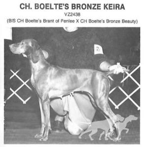Boelte's Bronze Keira