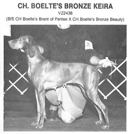 Boelte's Bronze Keira
