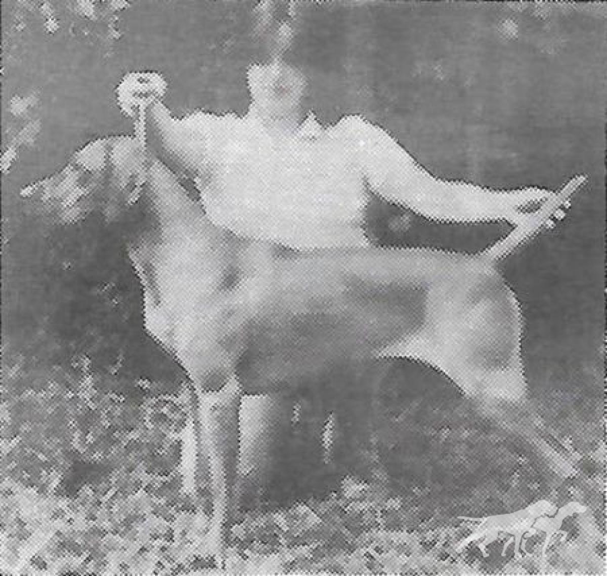 Damar's Southern Lady