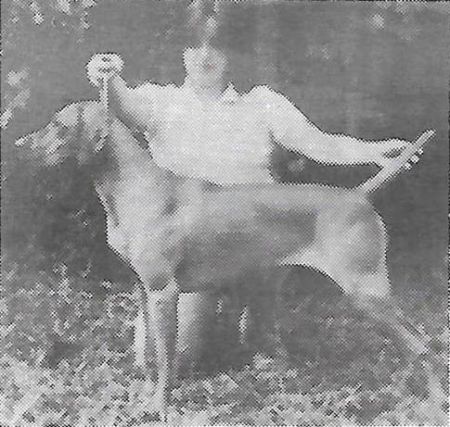 Damar's Southern Lady