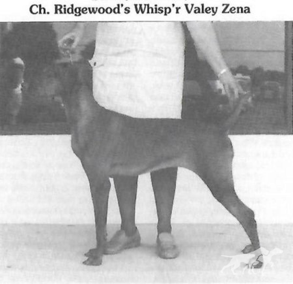 Ridgewood's Whisp'r Valey Zena