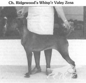 Ridgewood's Whisp'r Valey Zena