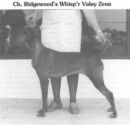 Ridgewood's Whisp'r Valey Zena