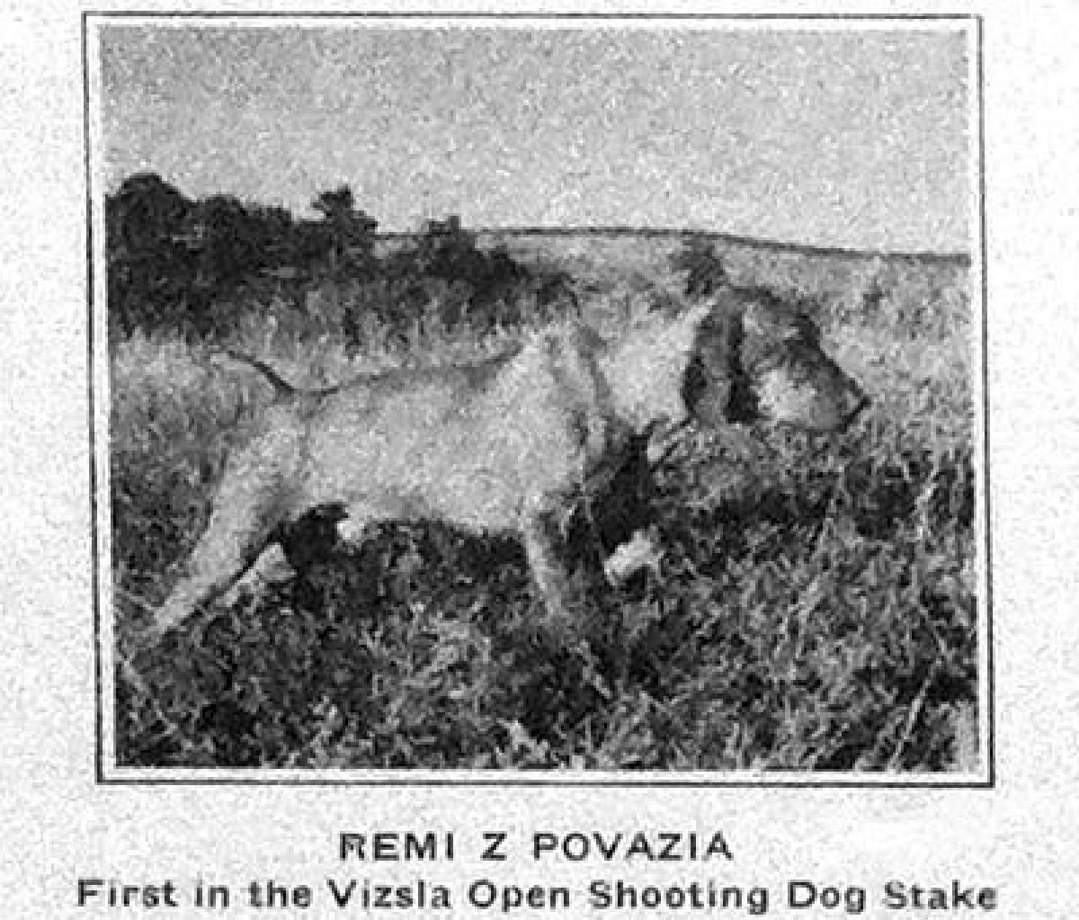 Remi z Povazia